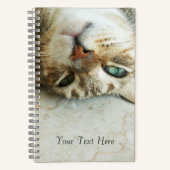 Carnet Cute Upside Down Tabby Cat Personnalisé (Recto)