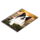 Carnet Cutest Baby Animals | Black and White Border Colli (Côté gauche)
