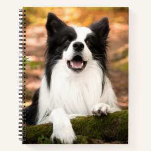 Carnet Cutest Baby Animals Black and White Border Colli