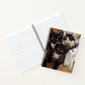 Carnet Cutest Baby Animals | Black & White Kittens (Intérieur)