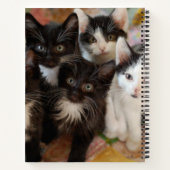 Carnet Cutest Baby Animals | Black & White Kittens (Dos)