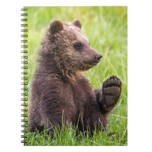 Carnet Cutest Baby Animals | Brown Bear Cub Wave (Devant)