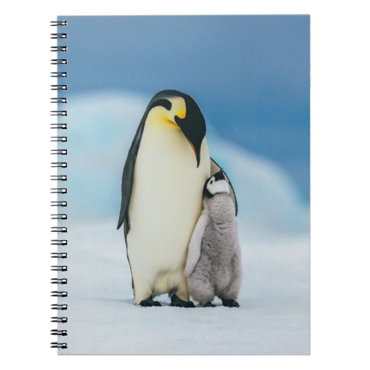 Carnet Cutest Baby Animals | Emperor Penguin Chick (Devant)