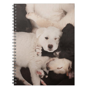 Carnet Cutest Baby Animals Pile of Puppies