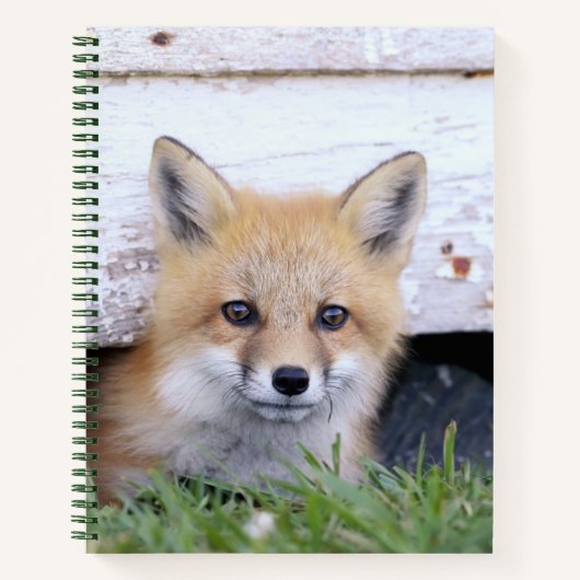 Carnet Cutest Baby Animals | Red Fox Kit Peeking (Devant)