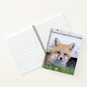 Carnet Cutest Baby Animals | Red Fox Kit Peeking (Intérieur)