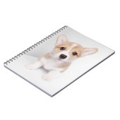 Carnet Cutest Baby Animals | Tiny Corgi (Côté gauche)