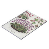 Carnet Cyclamen : hederaceis de foliis du serotinum (Côté gauche)