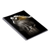 Carnet Cygne 2013 (Côté Droit)