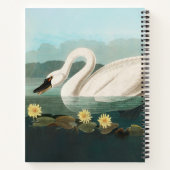 Carnet cygne audubon cygnes d'eau blanche (Dos)