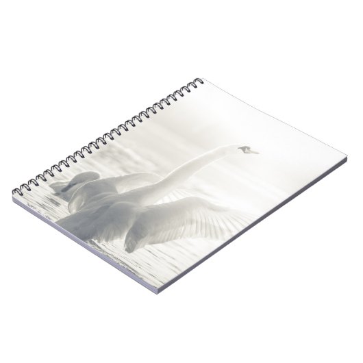 Carnet Cygne blanc (Côté gauche)