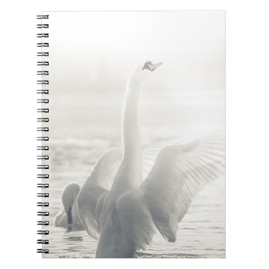 Carnet Cygne blanc (Devant)