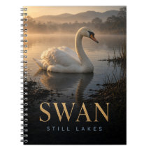 Cygne Lacs Calmes Faune ANIMAL