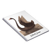 Carnet Cygne noir 1792 (Côté Droit)