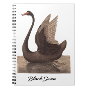 Carnet Cygne noir 1792