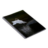 Carnet Cygne trompette (Côté Droit)