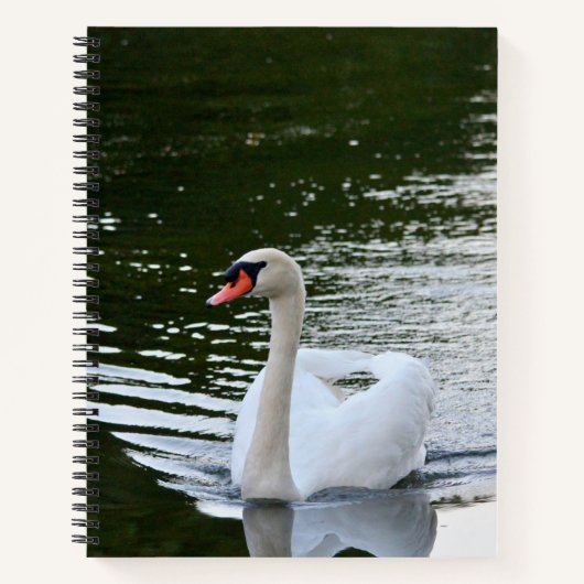 Carnet Cygne tuberculé élégant (Devant)