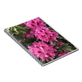 Carnet Cynthia Rhododendrons, Oregon (Côté Droit)