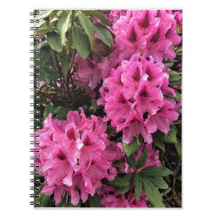Carnet Cynthia Rhododendrons, Oregon