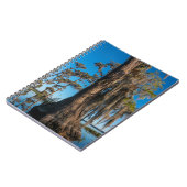 Carnet Cyprès de Pond dans un marais (Côté gauche)