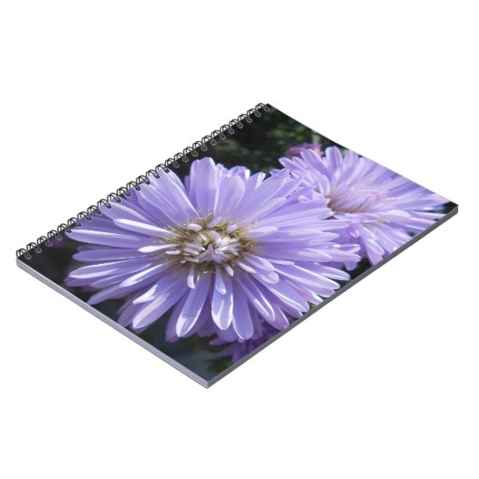 Carnet Cyrène (Côté gauche)