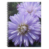 Carnet Cyrène (Devant)