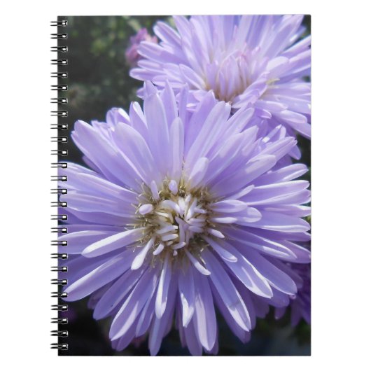 Carnet Cyrène (Devant)