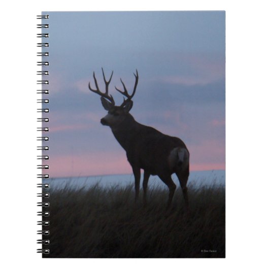 Carnet D3 Mule Deer Buck (Devant)