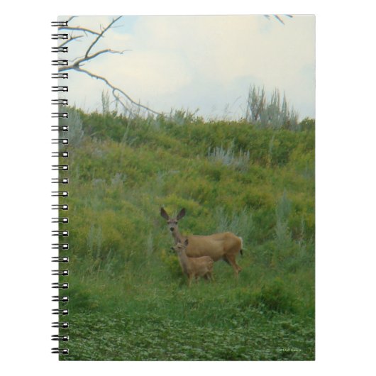 Carnet D5 Mule Deer Doe et Fawn (Devant)