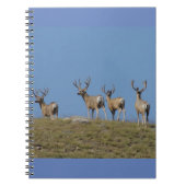 Carnet D9 Mule de seaux de cerfs en velours Skyline (Devant)