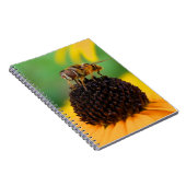Carnet d'abeilles (Côté Droit)
