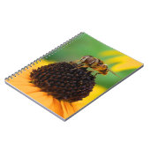 Carnet d'abeilles (Côté gauche)