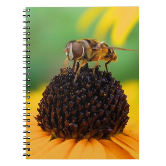 Carnet d'abeilles (Devant)