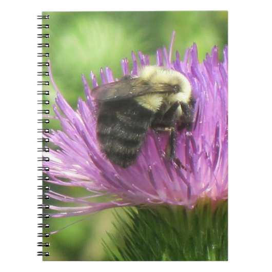 Carnet d'abeilles et de chardon (Devant)