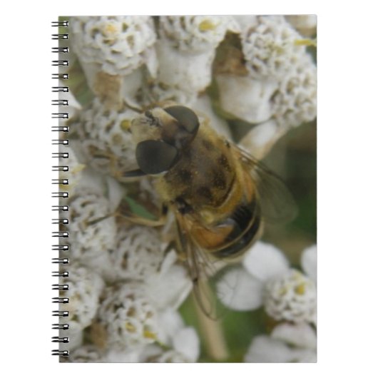 Carnet d'abeilles et de fleurs (Devant)