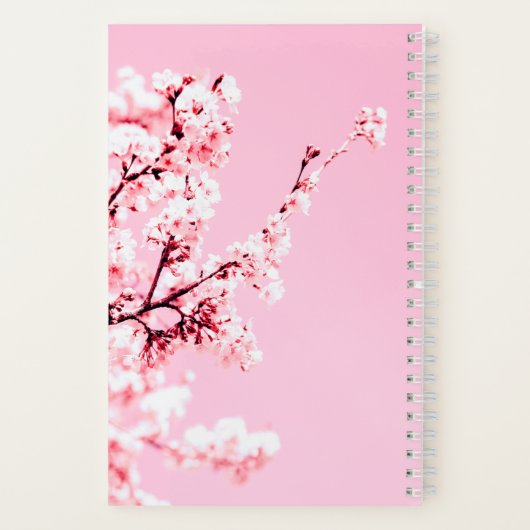 Carnet d'abondance (Verso)