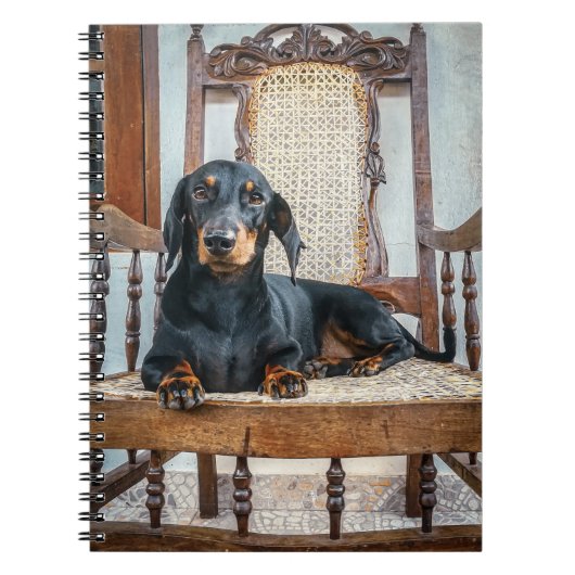 Carnet Dachshund Cute (Devant)
