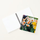 Carnet Daffodils et tulips, Oregon (Intérieur)