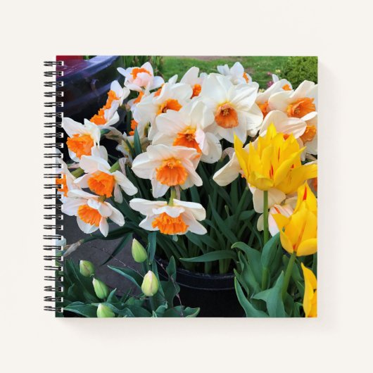 Carnet Daffodils et tulips, Oregon (Devant)