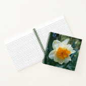 Carnet Daffodique (Intérieur)
