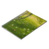 Carnet Daffodiques de printemps (Côté gauche)