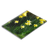Carnet Daffodiques de printemps (Côté gauche)