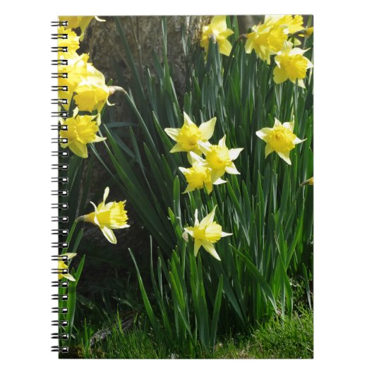 Carnet Daffodiques de printemps (Devant)