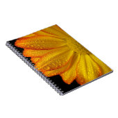 Carnet Daisy (Côté Droit)