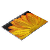 Carnet Daisy (Côté gauche)