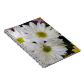 Carnet Daisy (Côté Droit)