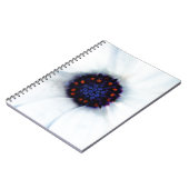 Carnet Daisy africain (Côté gauche)