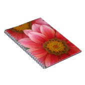 Carnet Daisy africain (Côté Droit)