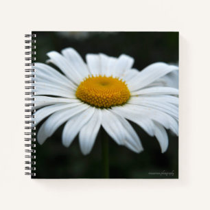 Carnet Daisy - Face vers le haut