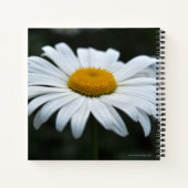 Carnet Daisy - Face vers le haut (Dos)